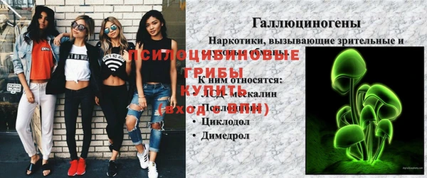 шишки Навашино
