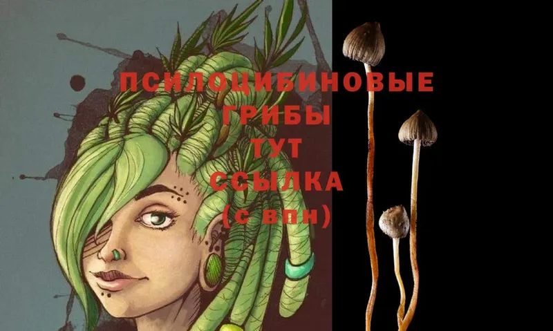 Галлюциногенные грибы MAGIC MUSHROOMS  сайты даркнета телеграм  Лесозаводск 