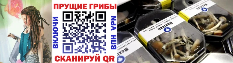 где продают наркотики  blacksprut сайт  Галлюциногенные грибы ЛСД  Лесозаводск 