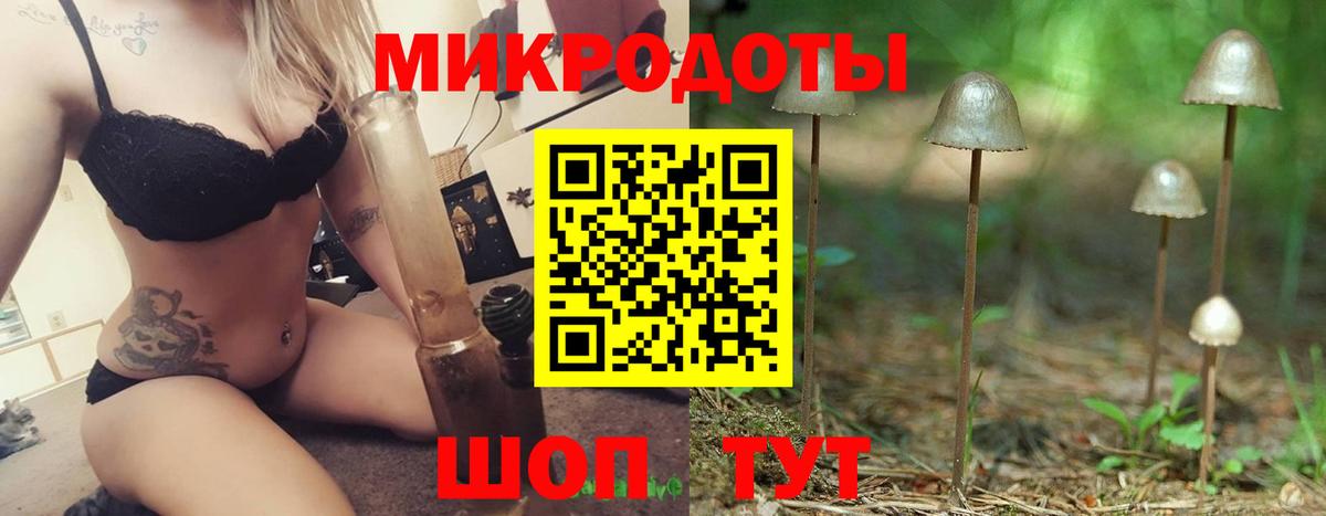 Псилоцибиновые грибы ЛСД  даркнет сайт  Галлюциногенные грибы GOLDEN TEACHER  Лесозаводск 